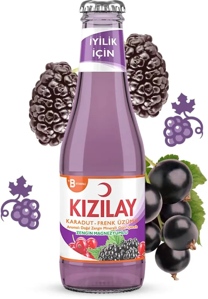 KIZILAY SODA KARADUT-FRENK ÜZÜM 200ML*(PK6-KL24)