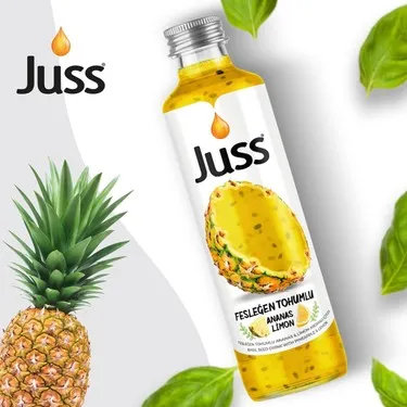 JUSS FESLEĞEN ANANAS LİMON 250GR*24*