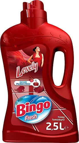 BİNGO SİL YÜZEY TEM. 2,5 LT LOVELY*6*