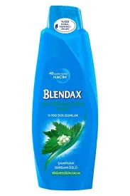 BLENDAX 500ML ŞAMPUAN KEPEKLİ SAÇ.(ERKEK*6