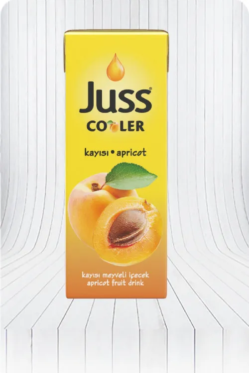JUSS COOLER 1/5 KAYISI*27*