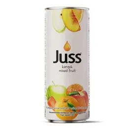 JUSS TNK 250ML KARIŞIK*24*