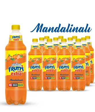 ULUDAĞ FRUTTİ EXT MANDALİNA 250CC*1*6*4:24